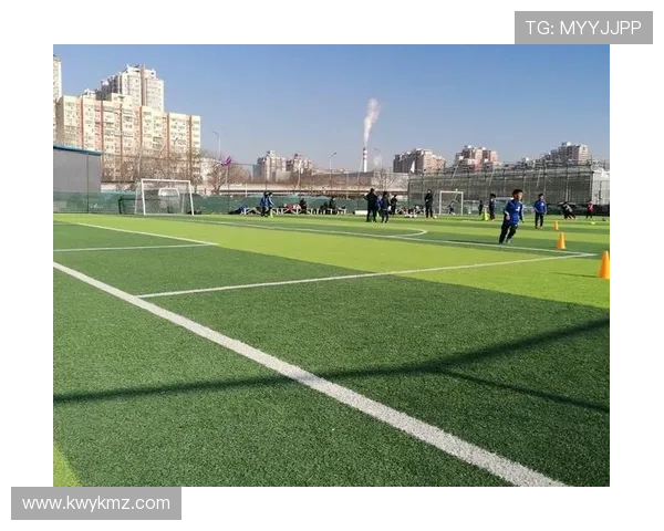 追逐梦想的绿茵场我的足球明星成长之路与心路历程 追逐梦想的绿茵场我的足球明星成长之路与心路历程