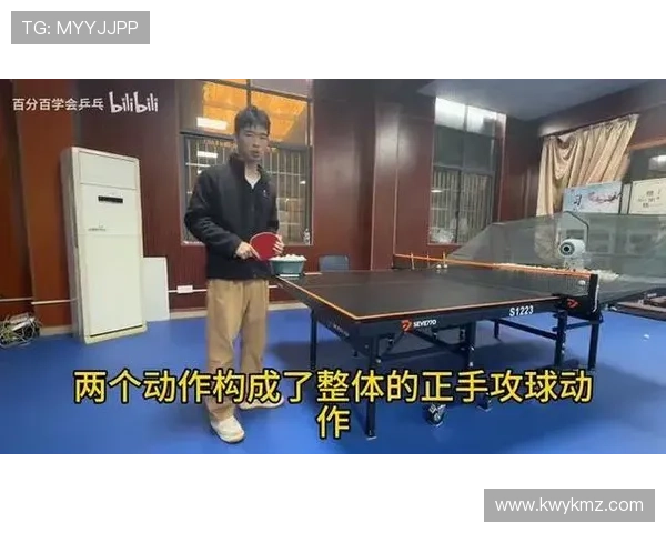 从零基础到高手之路乒乓球比赛技巧与经验全解析